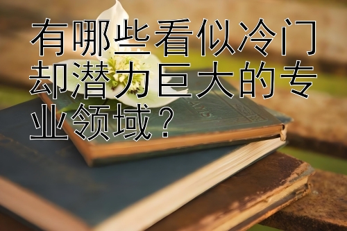 有哪些看似冷门却潜力巨大的专业领域？