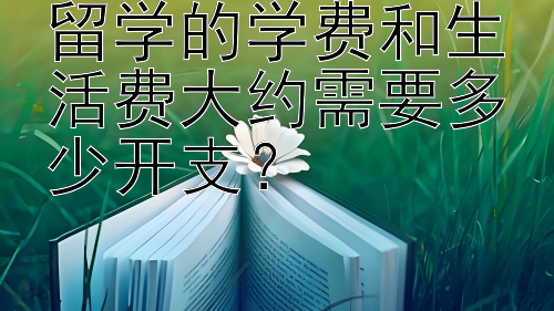 留学的学费和生活费大约需要多少开支？