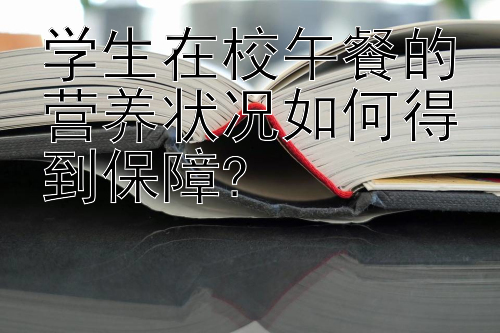 学生在校午餐的营养状况如何得到保障?