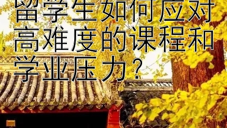 留学生如何应对高难度的课程和学业压力？