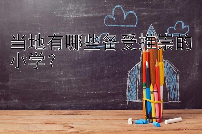 当地有哪些备受推崇的小学？