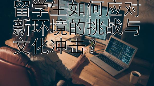 留学生如何应对新环境的挑战与文化冲击？