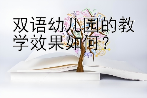 双语幼儿园的教学效果如何？