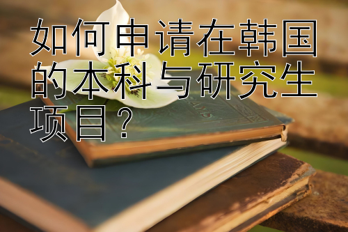 如何申请在韩国的本科与研究生项目？