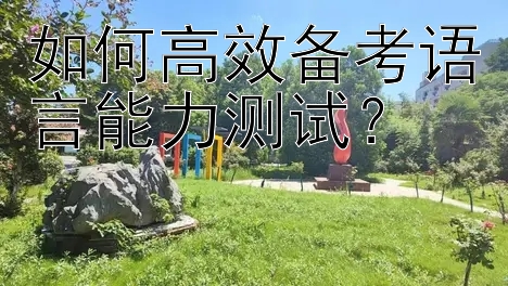 如何高效备考语言能力测试？