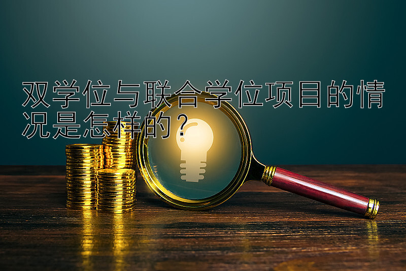 双学位与联合学位项目的情况是怎样的？