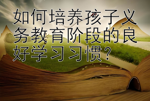 如何培养孩子义务教育阶段的良好学习习惯？