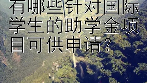 有哪些针对国际学生的助学金项目可供申请？