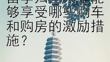 留学归国人士能够享受哪些购车和购房的激励措施？