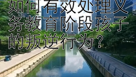 如何有效处理义务教育阶段孩子的叛逆行为？