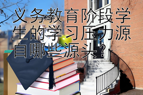 义务教育阶段学生的学习压力源自哪些源头？