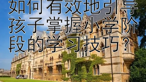 如何有效地引导孩子掌握小学阶段的学习技巧？