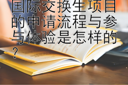 国际交换生项目的申请流程与参与体验是怎样的？