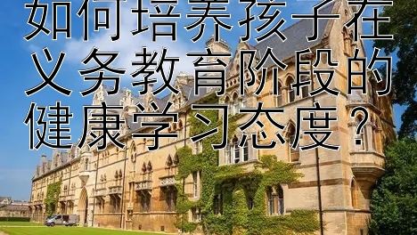 如何培养孩子在义务教育阶段的健康学习态度？