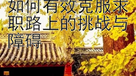 如何有效克服求职路上的挑战与障碍