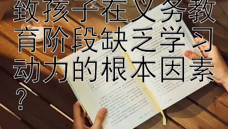 如何深入探究导致孩子在义务教育阶段缺乏学习动力的根本因素？