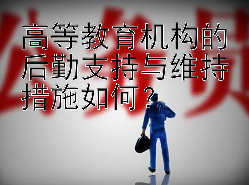 高等教育机构的后勤支持与维持措施如何？