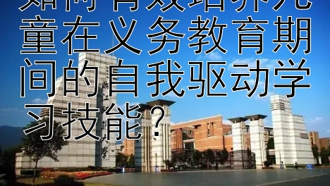 如何有效培养儿童在义务教育期间的自我驱动学习技能？