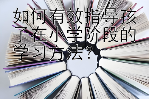 如何有效指导孩子在小学阶段的学习方法？