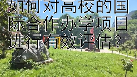 如何对高校的国际合作办学项目进行有效评估？