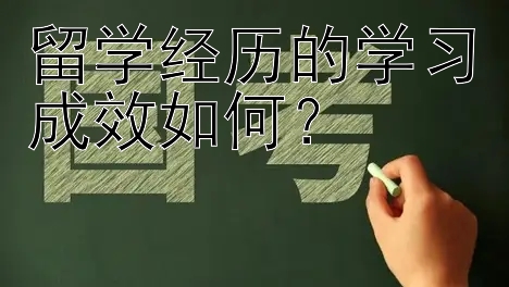 留学经历的学习成效如何？