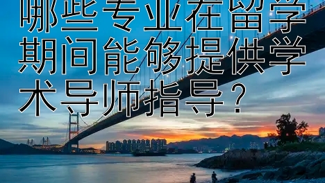 哪些专业在留学期间能够提供学术导师指导？