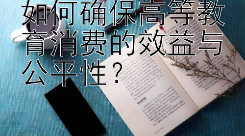 如何确保高等教育消费的效益与公平性？