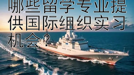 哪些留学专业提供国际组织实习机会？