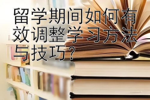 留学期间如何有效调整学习方法与技巧？