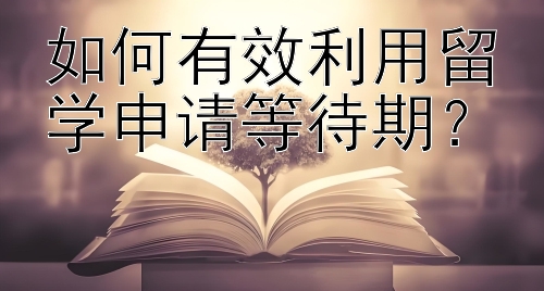 如何有效利用留学申请等待期？