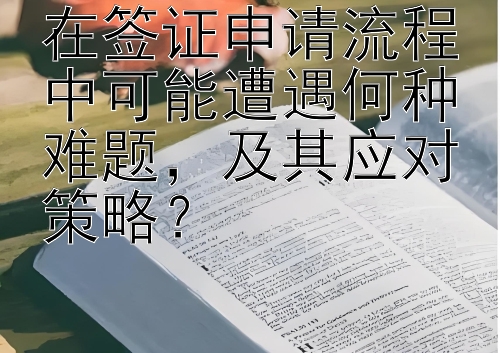 在签证申请流程中可能遭遇何种难题，及其应对策略？