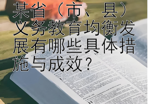 某省（市、县）义务教育均衡发展有哪些具体措施与成效？