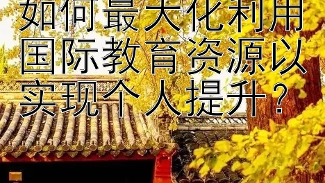 如何最大化利用国际教育资源以实现个人提升？