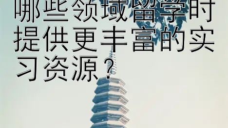 哪些领域留学时提供更丰富的实习资源？