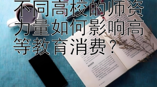 不同高校的师资力量如何影响高等教育消费？