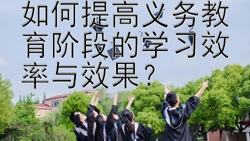 如何提高义务教育阶段的学习效率与效果？