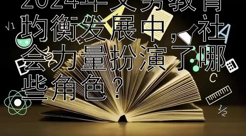 2024年义务教育均衡发展中，社会力量扮演了哪些角色？