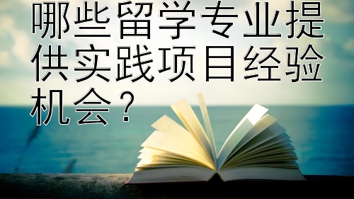 哪些留学专业提供实践项目经验机会？