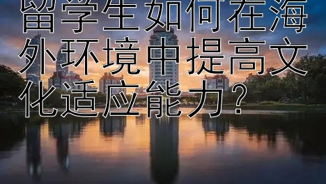 留学生如何在海外环境中提高文化适应能力？