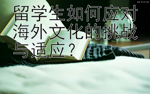 留学生如何应对海外文化的挑战与适应？