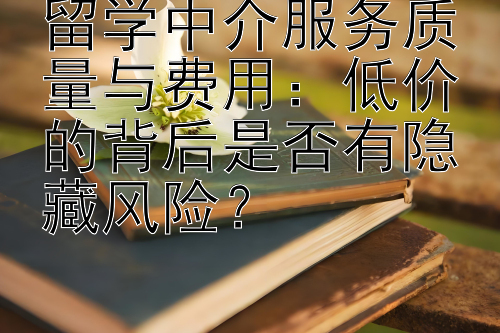 留学中介服务质量与费用：低价的背后是否有隐藏风险？