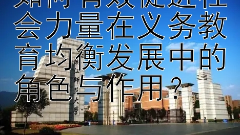 如何有效促进社会力量在义务教育均衡发展中的角色与作用？