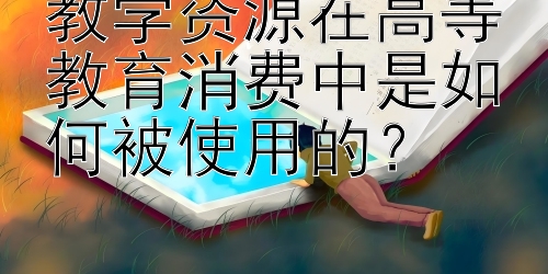 教学资源在高等教育消费中是如何被使用的？