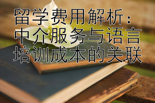 留学费用解析：中介服务与语言培训成本的关联