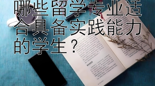 哪些留学专业适合具备实践能力的学生？