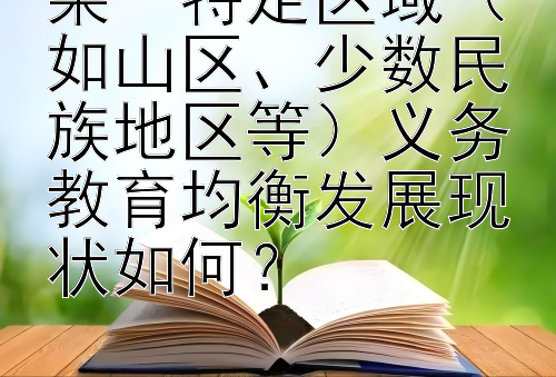 某一特定区域（如山区、少数民族地区等）义务教育均衡发展现状如何？