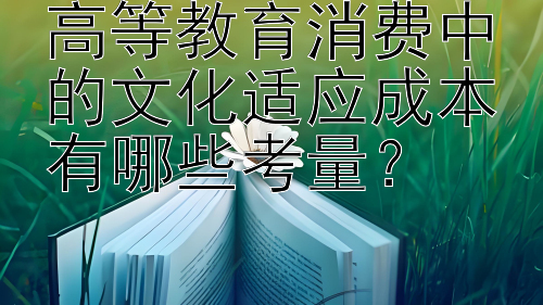 高等教育消费中的文化适应成本有哪些考量？