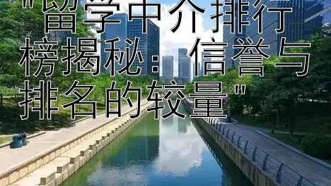 留学中介排行榜揭秘：信誉与排名的较量