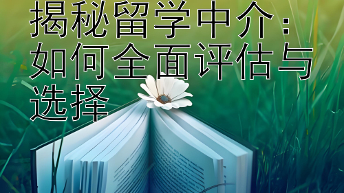 揭秘留学中介：如何全面评估与选择