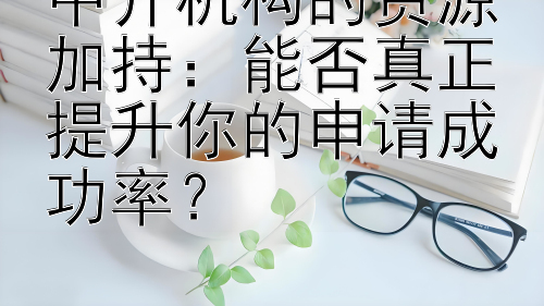 中介机构的资源加持：能否真正提升你的申请成功率？